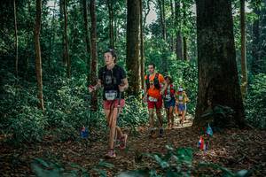 BIB: 
                            <button type="button" onclick="openModal(26130349)" class="btn btn-primary btn-sm float-right btn-popup" data-toggle="modal" data-target=".modal-high-quality">
                        <i class="fas fa-shopping-cart"></i> Add to Cart
                    </button>
                                            <button type="button" onclick="isThisMe(26130349, true)" class="btn btn-success btn-sm float-right btn-popup btn-isme hidden" data-toggle="tooltip" data-placement="bottom" title="นี่คือรูปของคุณใช่ไหม คลิกที่นี่เพื่อเอาเข้าอัลบั้ม">
                        <i class="fas fa-plus"></i> Add to album
                    </button>
                    <button type="button" onclick="isThisMe(26130349, false)" class="btn btn-warning btn-sm float-right btn-popup btn-isnotme hidden">
                        <i class="fas fa-ban"></i> Remove from album
                    </button>